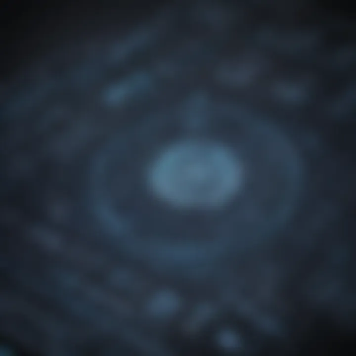 Data Flow Visualization