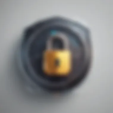 Digital Security Lock Icon