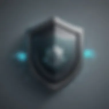 Safeguarding Digital Assets Digital Shield Icon