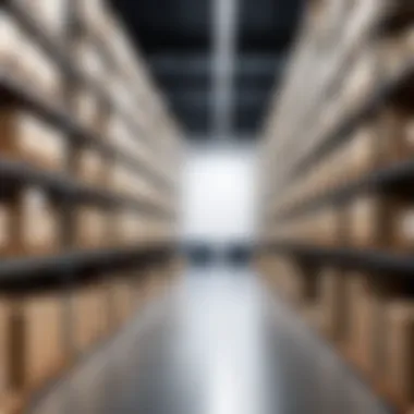 Enhanced Efficiency through Active WMS Implementation