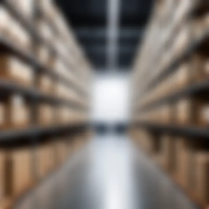 Enhanced Efficiency through Active WMS Implementation