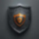 Digital Shield Icon