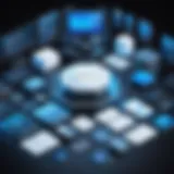Detailed view of Oracle EBS components