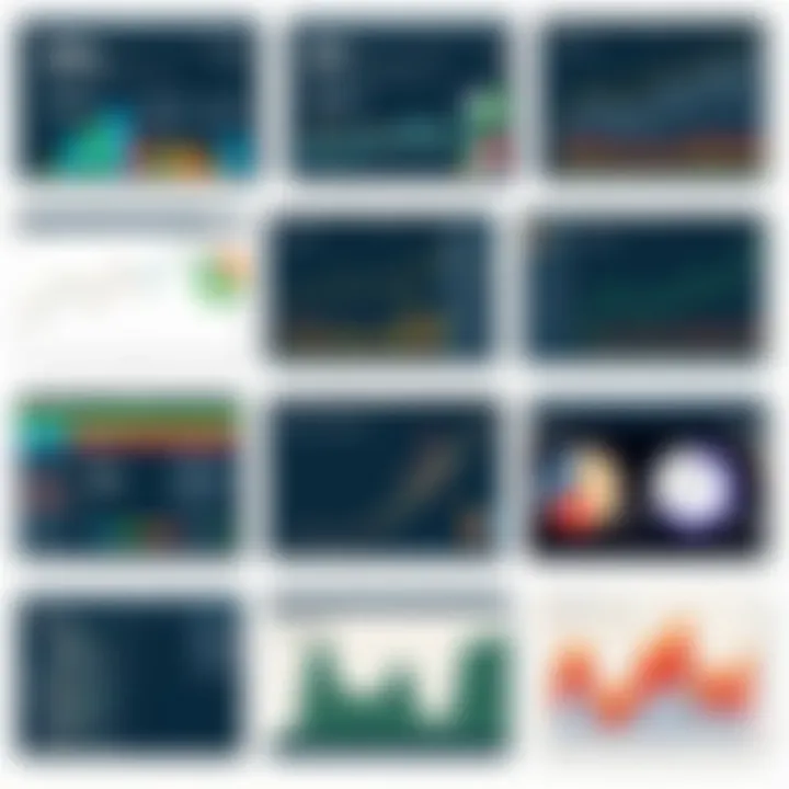 Varieties of Data Representation A diverse array of visual representations showcasing various data types