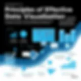 A captivating infographic illustrating the principles of effective data visualization