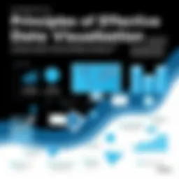 A captivating infographic illustrating the principles of effective data visualization