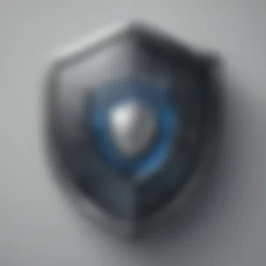 Privacy and Security Shield Privacy and Security Shield