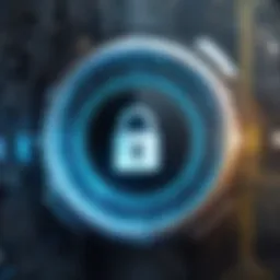 Conceptual representation of cybersafety with digital locks