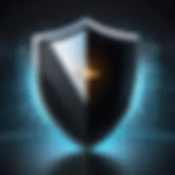 Shield Symbolizing Website Protection
